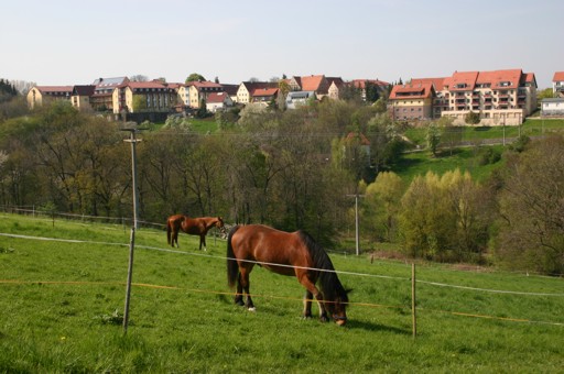 Goppeln - Blick zum Kloster