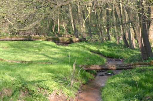 Goppeln - Gebergrund