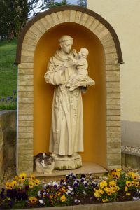 Der Heilige und die Klosterkatze